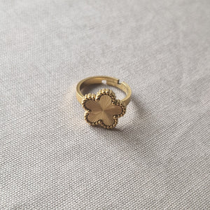 Bague ajustable en acier inoxydable