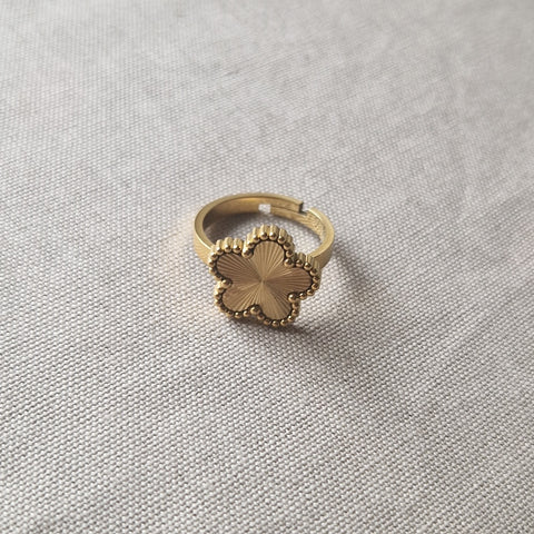 Bague ajustable en acier inoxydable