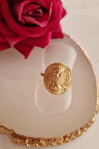 Bague en acier inoxydable ajustable pièce coque F'roj